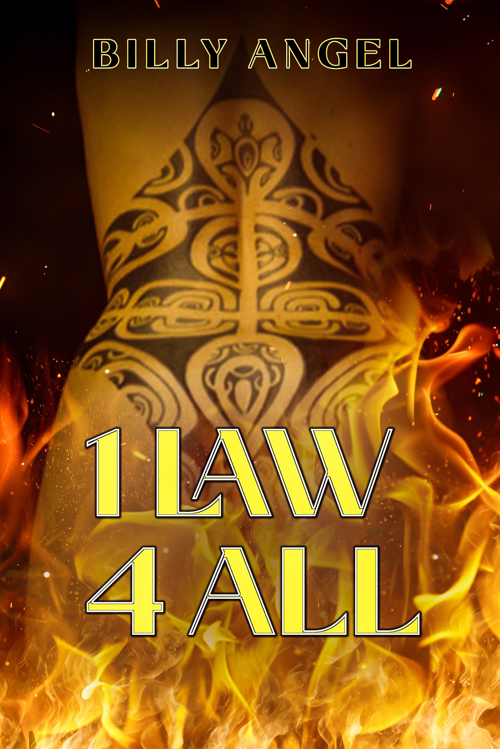 1 Law 4 All book cover