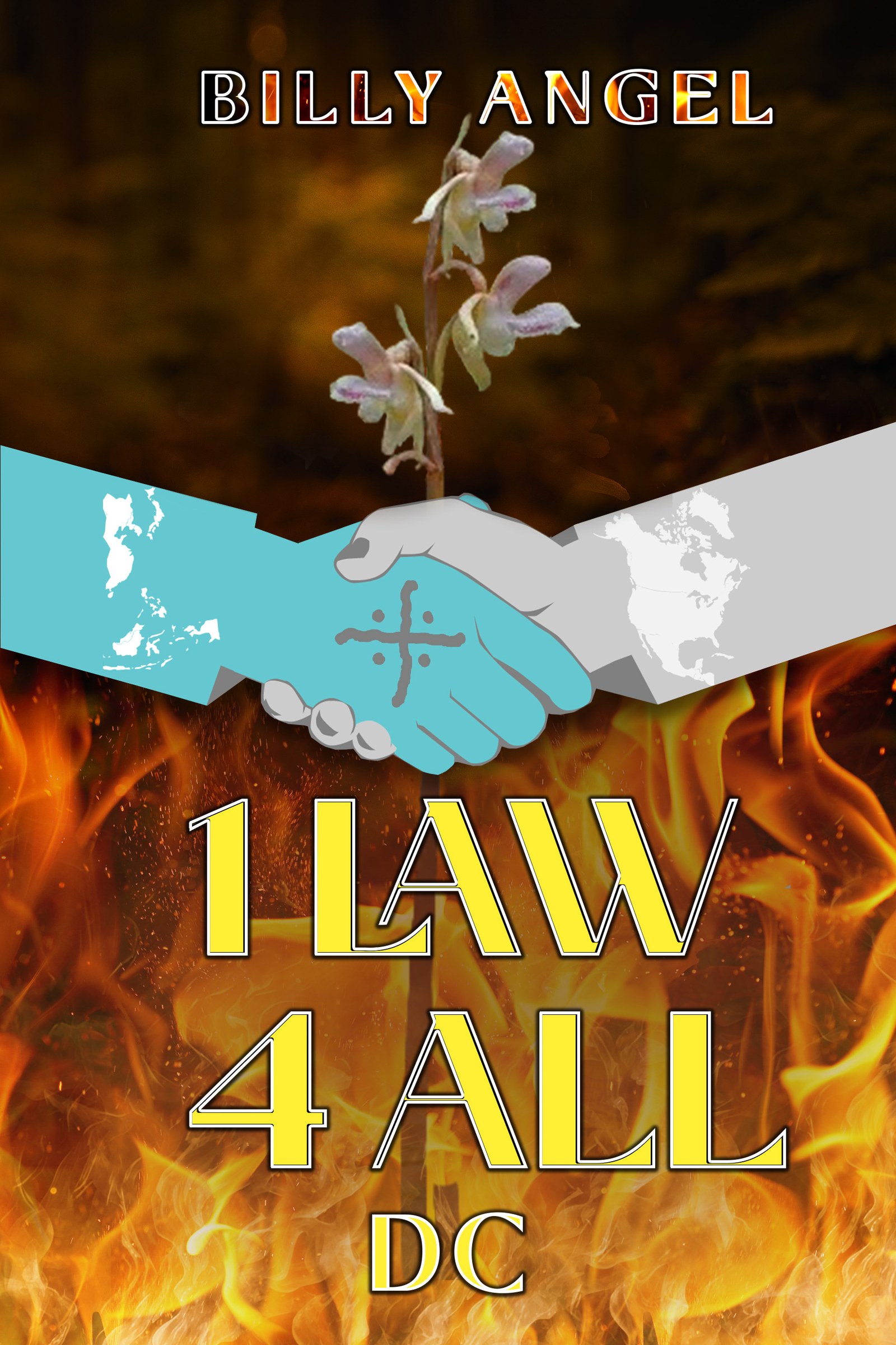 1 Law 4 All book cover